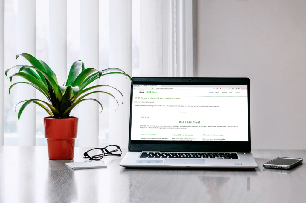 Website Development in the Philippines